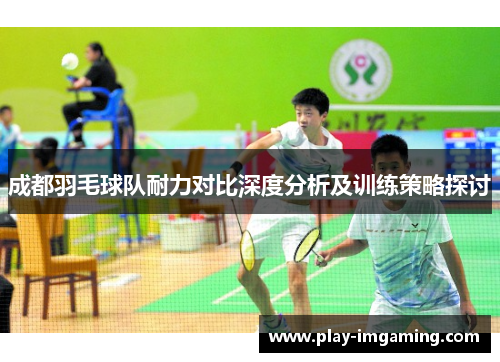 成都羽毛球队耐力对比深度分析及训练策略探讨